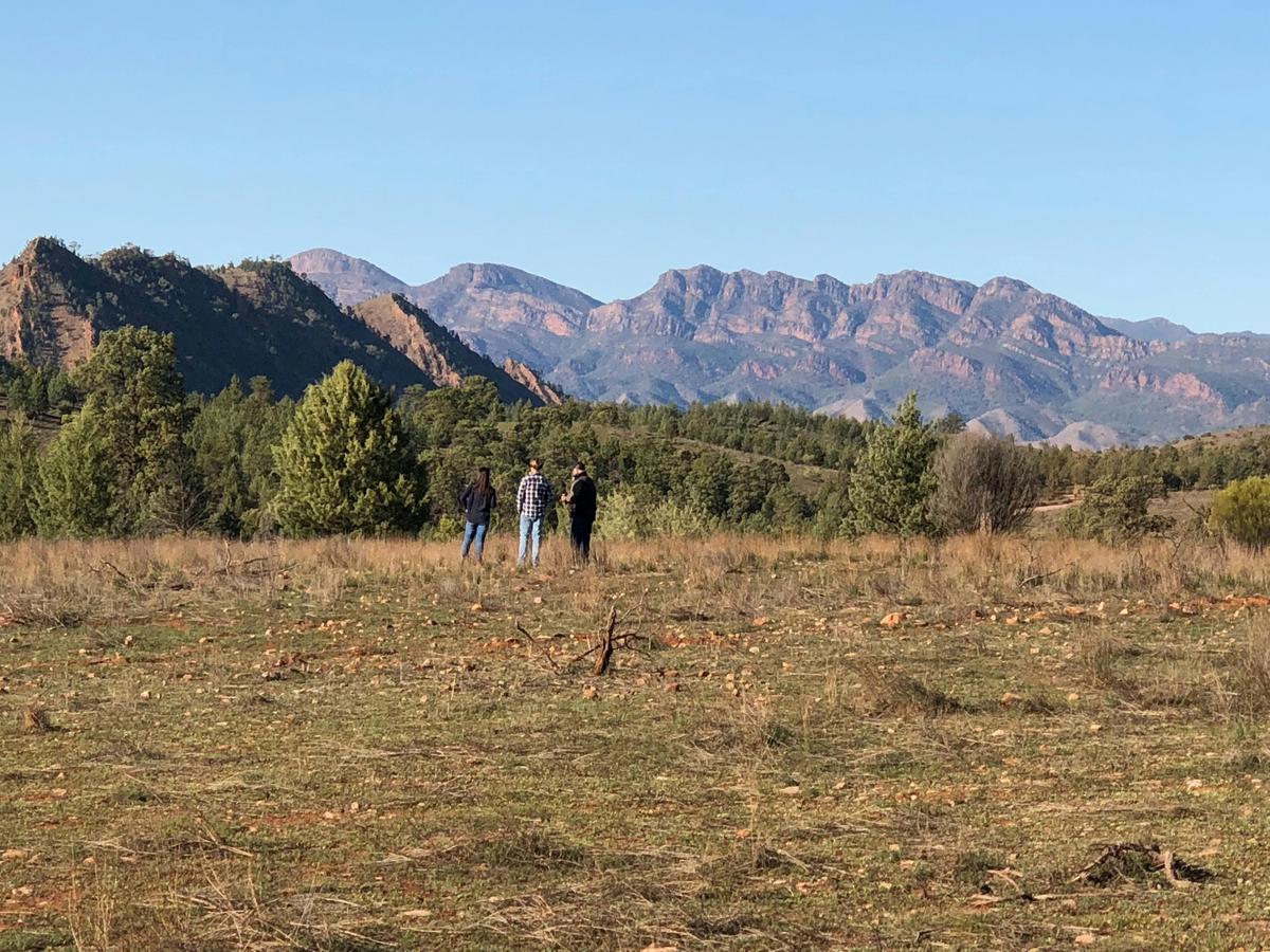 Aboriginal Cultural 4WD Tour - Wilpena Pound Resort