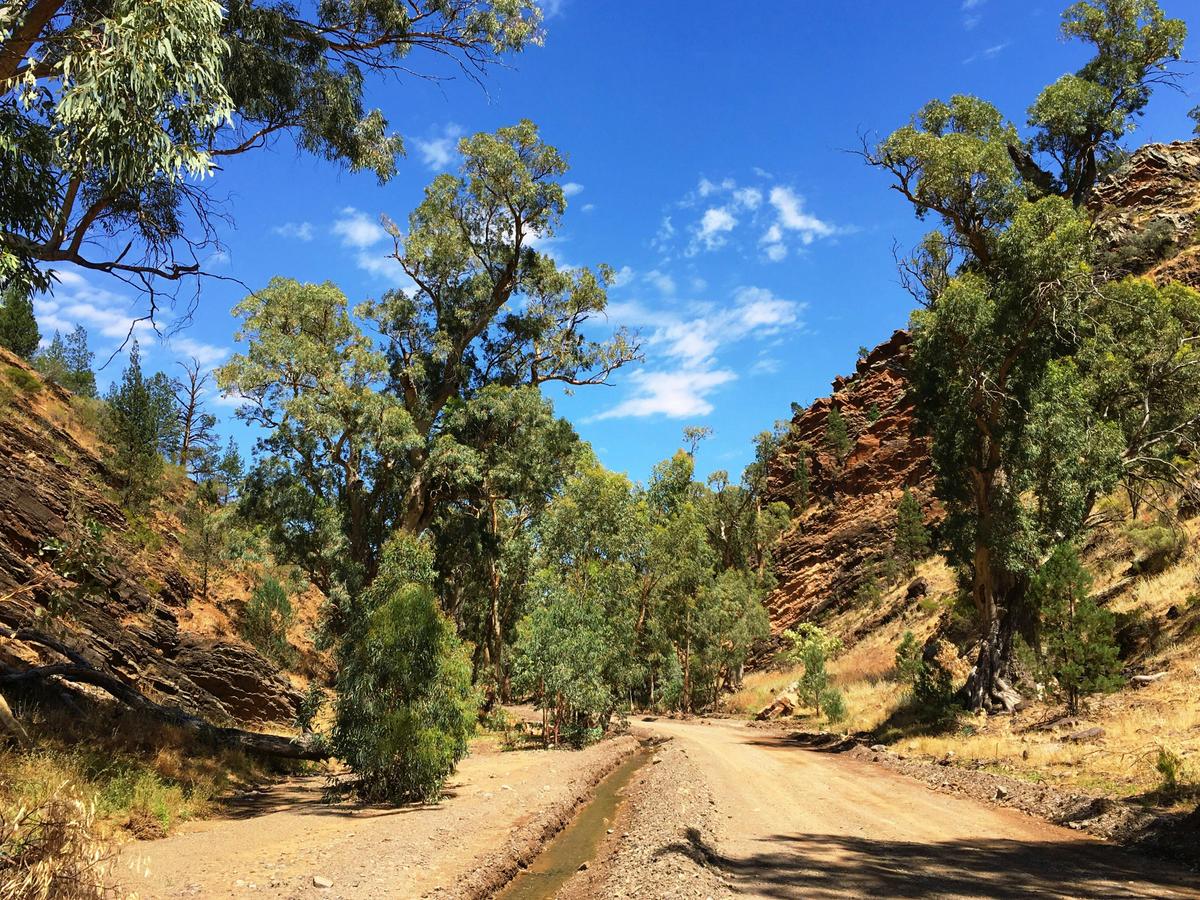 4WD Tour - Time Travel and Gorgeous Gorges