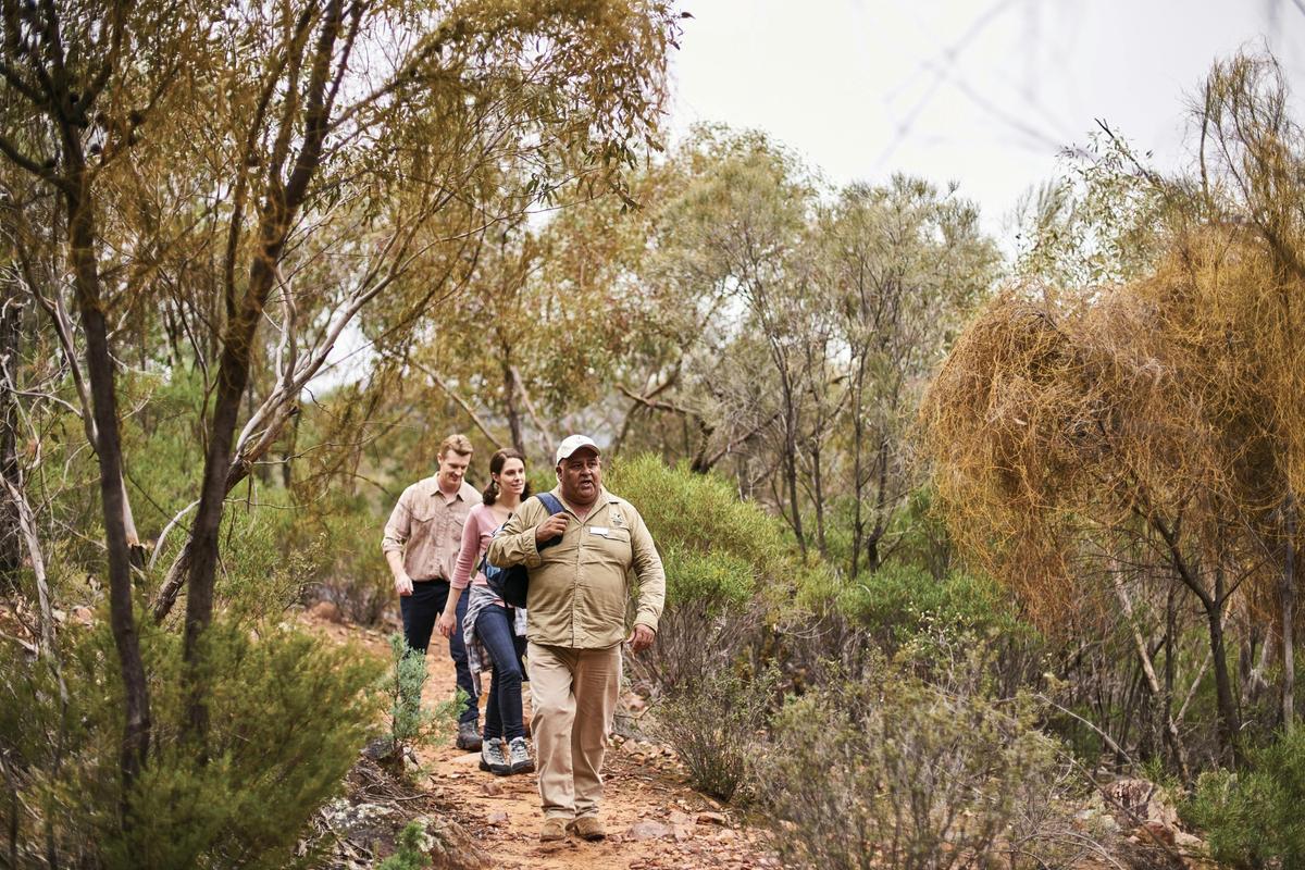 Aboriginal Cultural Tour - Wilpena Pound Resort