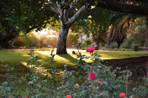Ada Ryan Gardens
