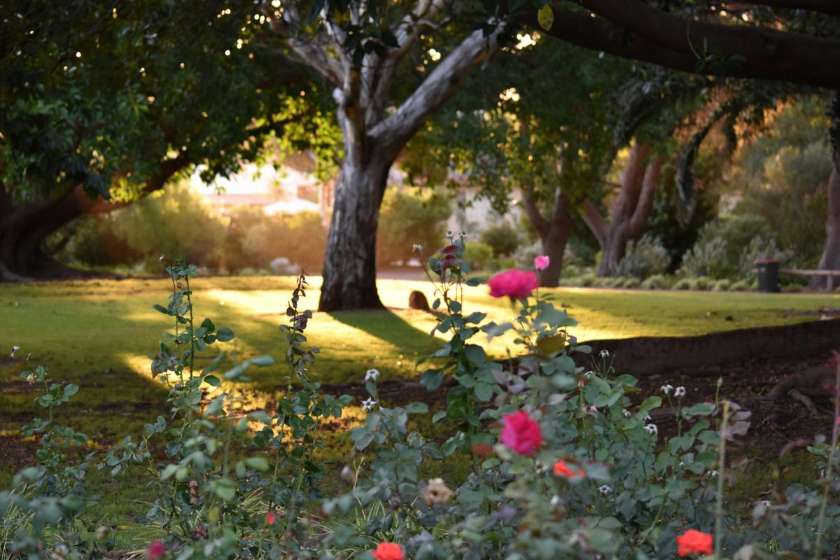 Ada Ryan Gardens