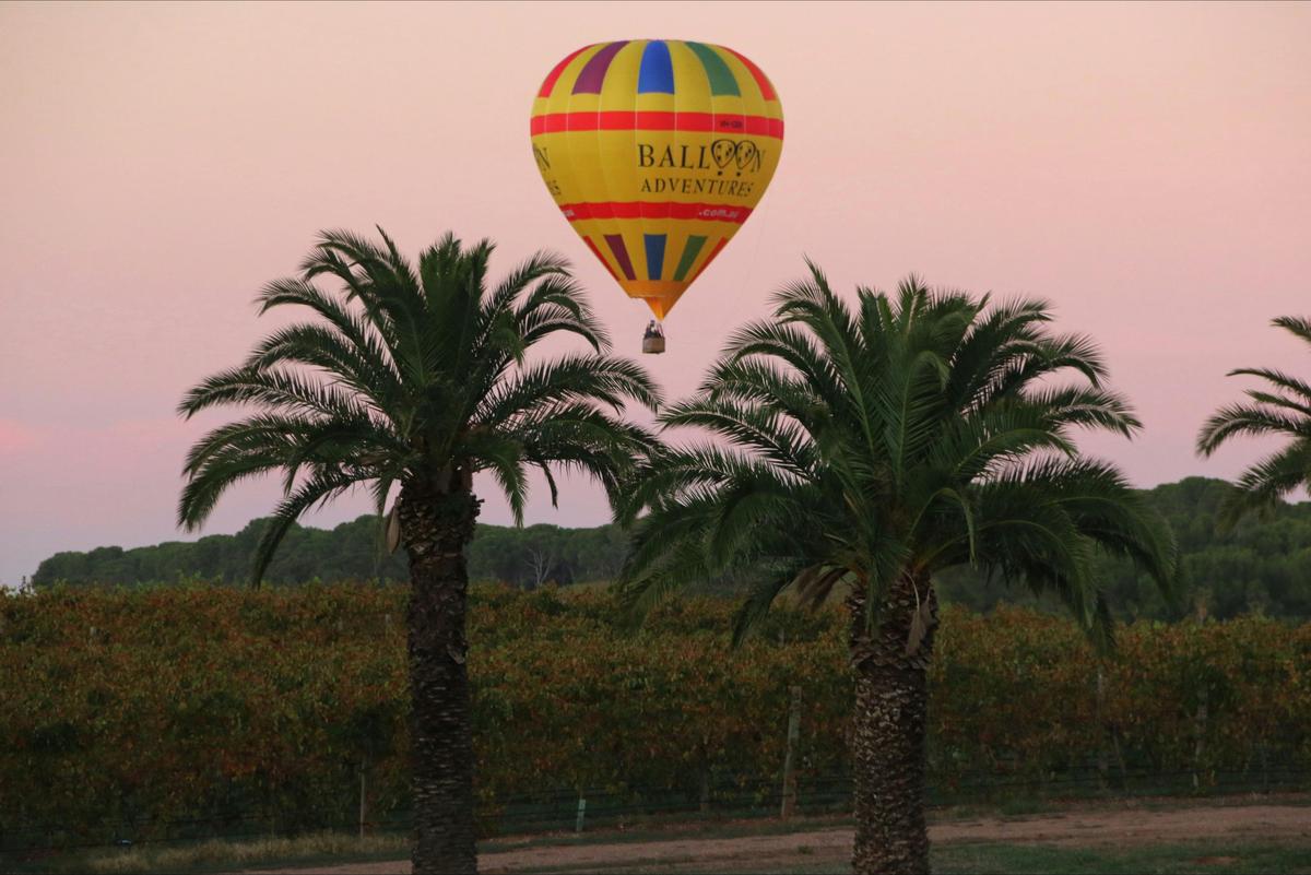 Barossa Balloon Flights