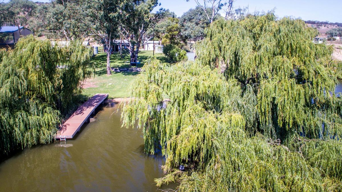 Grass to the water