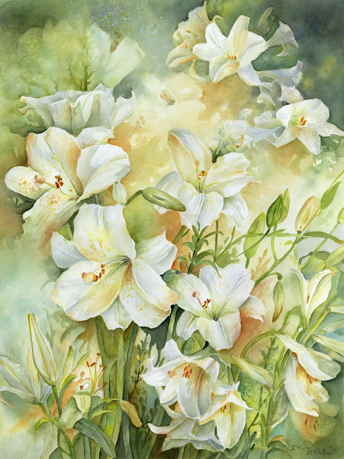 Diana Mitchell is our fabulous Artist in Residence