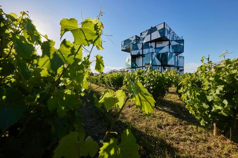 Full Day Private Wine Tours (ex. Adelaide)