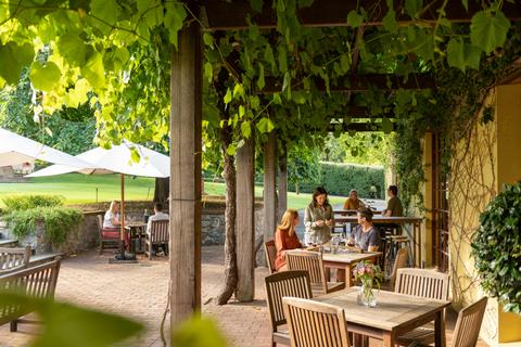Private Wine Tours - 6 Hour (ex. Adelaide + Lunch)