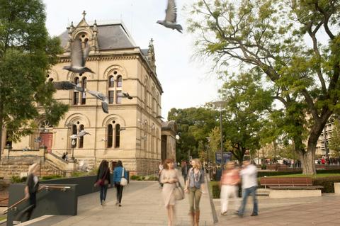 Classic Adelaide Culture and Heritage Walking Tour (3 hours)