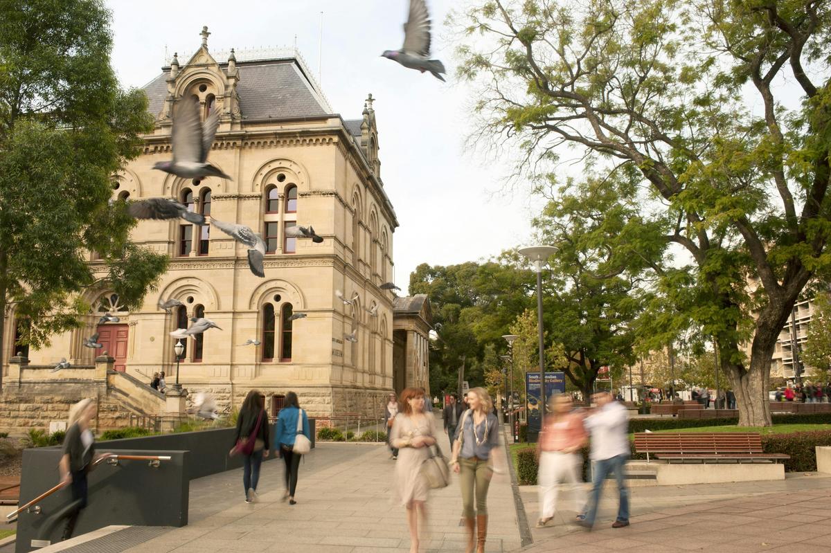 Classic Adelaide Culture and Heritage Walking Tour (3 hours)