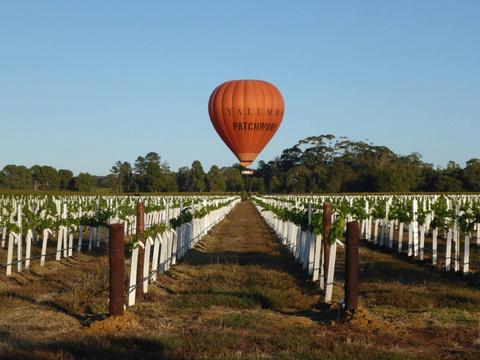 Ultimate Wineries 3 Days, 2 Nights South Australian Wine & Gourmet Experience