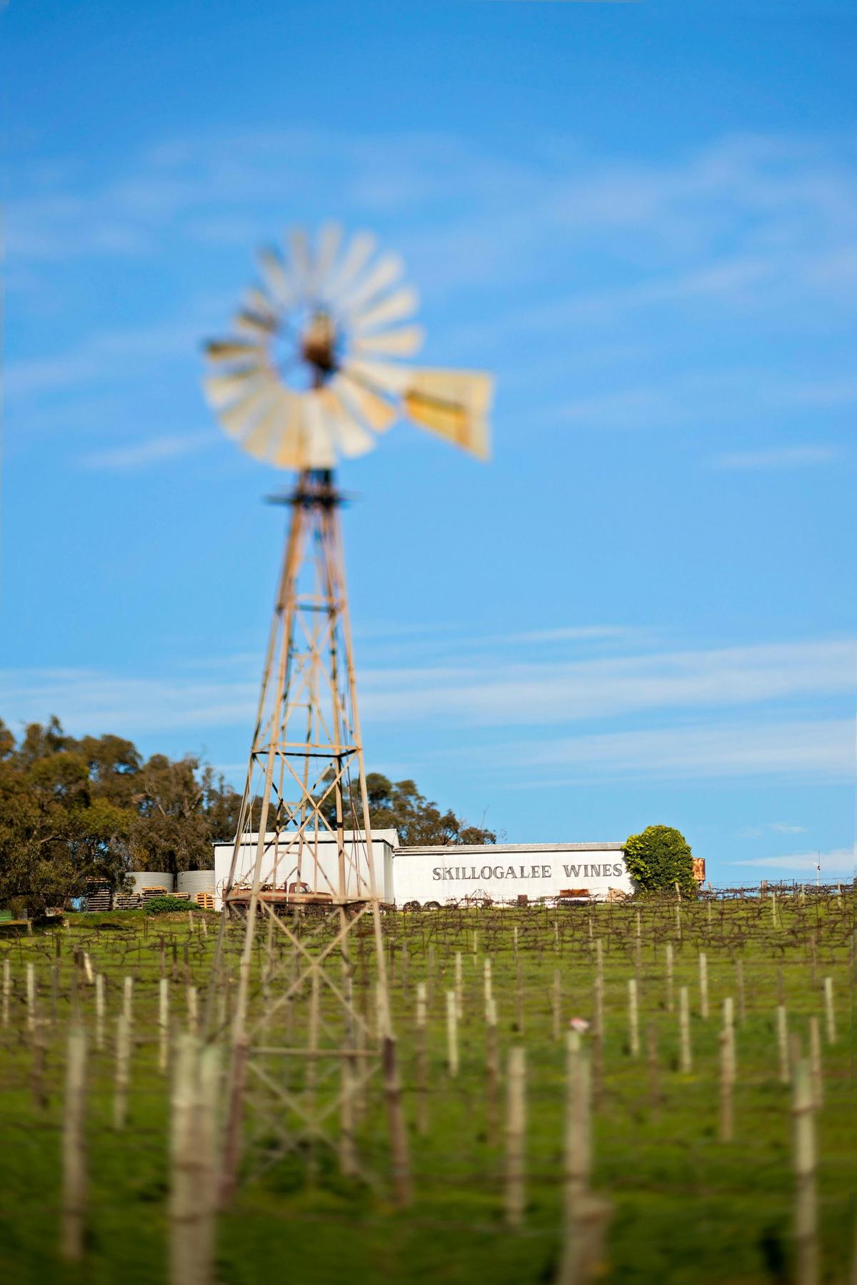Clare Valley Private Wine Tour (Full day)