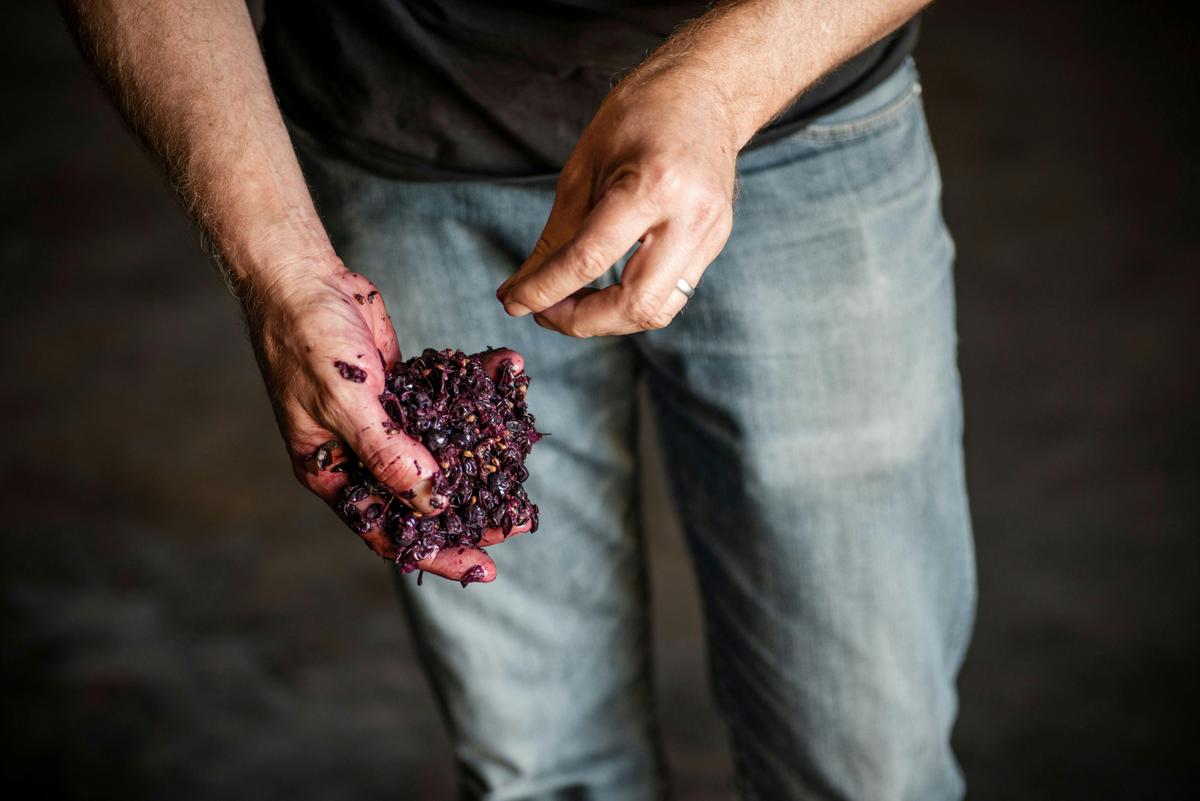 Ultimate Barossa Experience (Full day)
