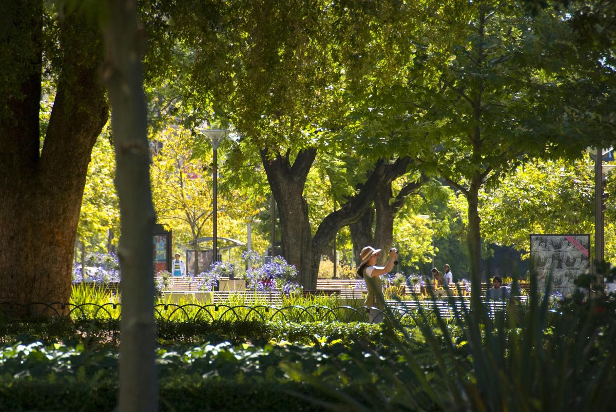 Classic Adelaide Culture and Heritage Walking Tour (3 hours)