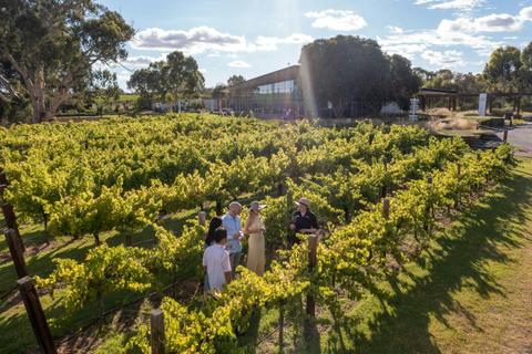Ultimate Wineries 2 Days, 1 Night Wine & Gourmet Experience from Adelaide