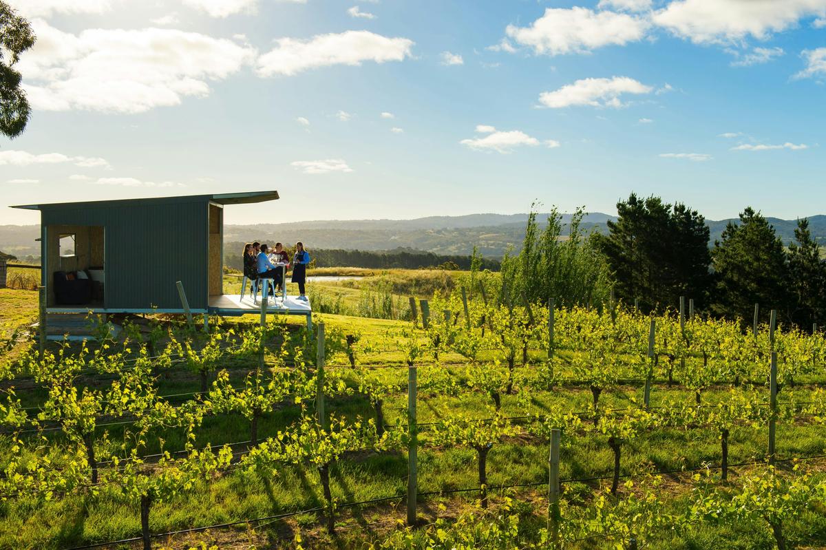 Half Day Private Wine Tour (ex Adelaide)