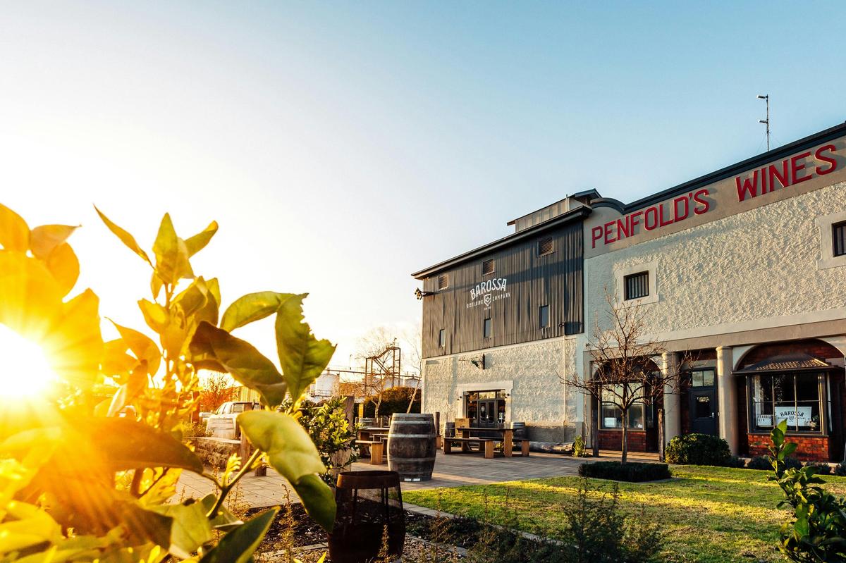 Exterior photo of The Distillery with sun shining through a plant