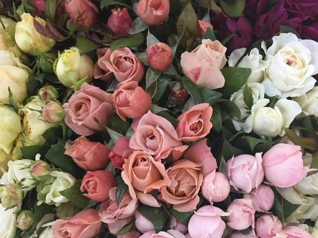 Sydney Flower Market