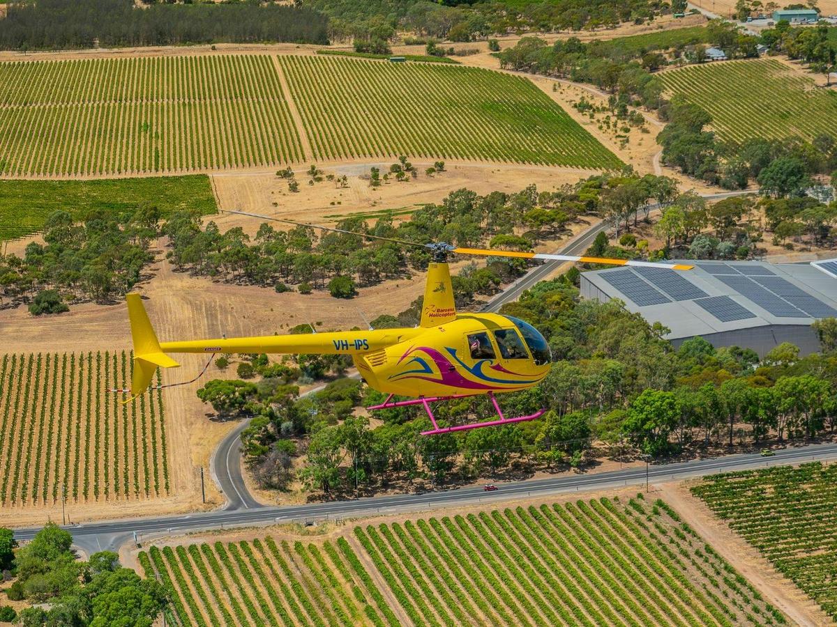 Private Southern Barossa & Reservoirs - 15 Minute Scenic Flight