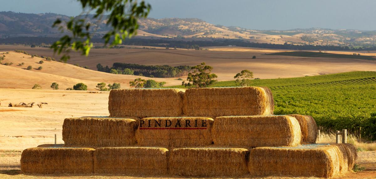 Romantic Views and Amazing Wines at Pindarie Wines