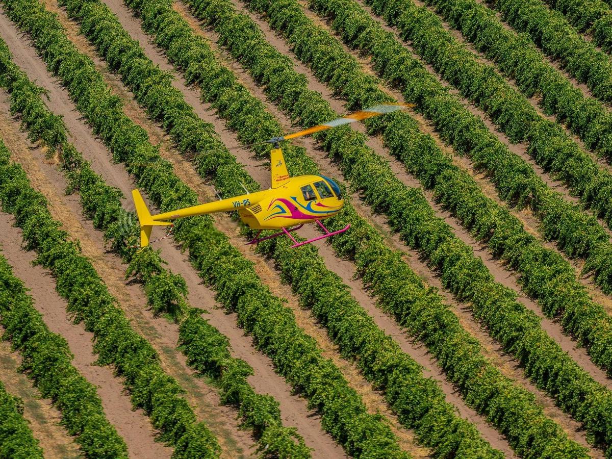 Private Southern Barossa & Reservoirs - 15 Minute Scenic Flight