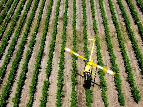 Private Southern Barossa - 10 Minute Scenic Flight