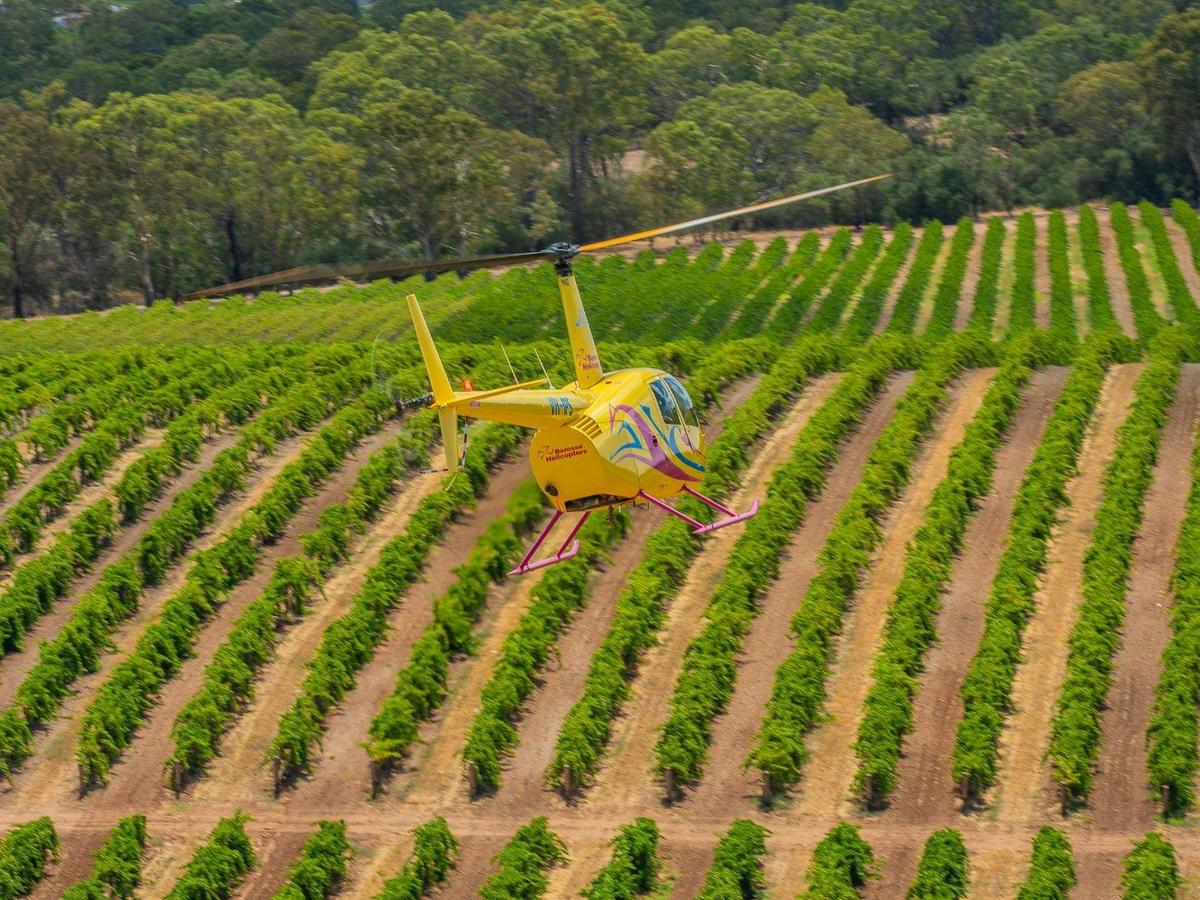 Private Western Ridge and Valley Floor – 20 Minute Scenic Flight