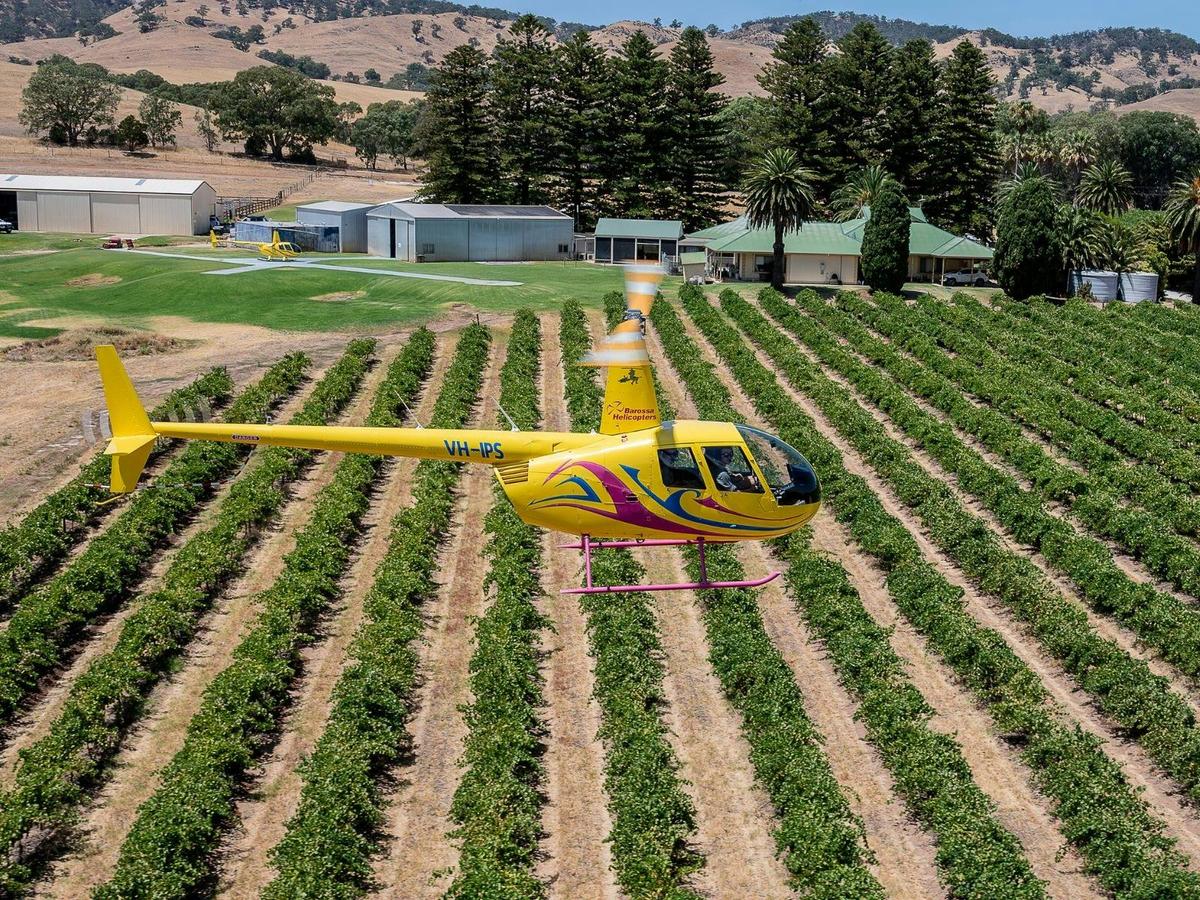 Private Southern Barossa - 10 Minute Scenic Flight