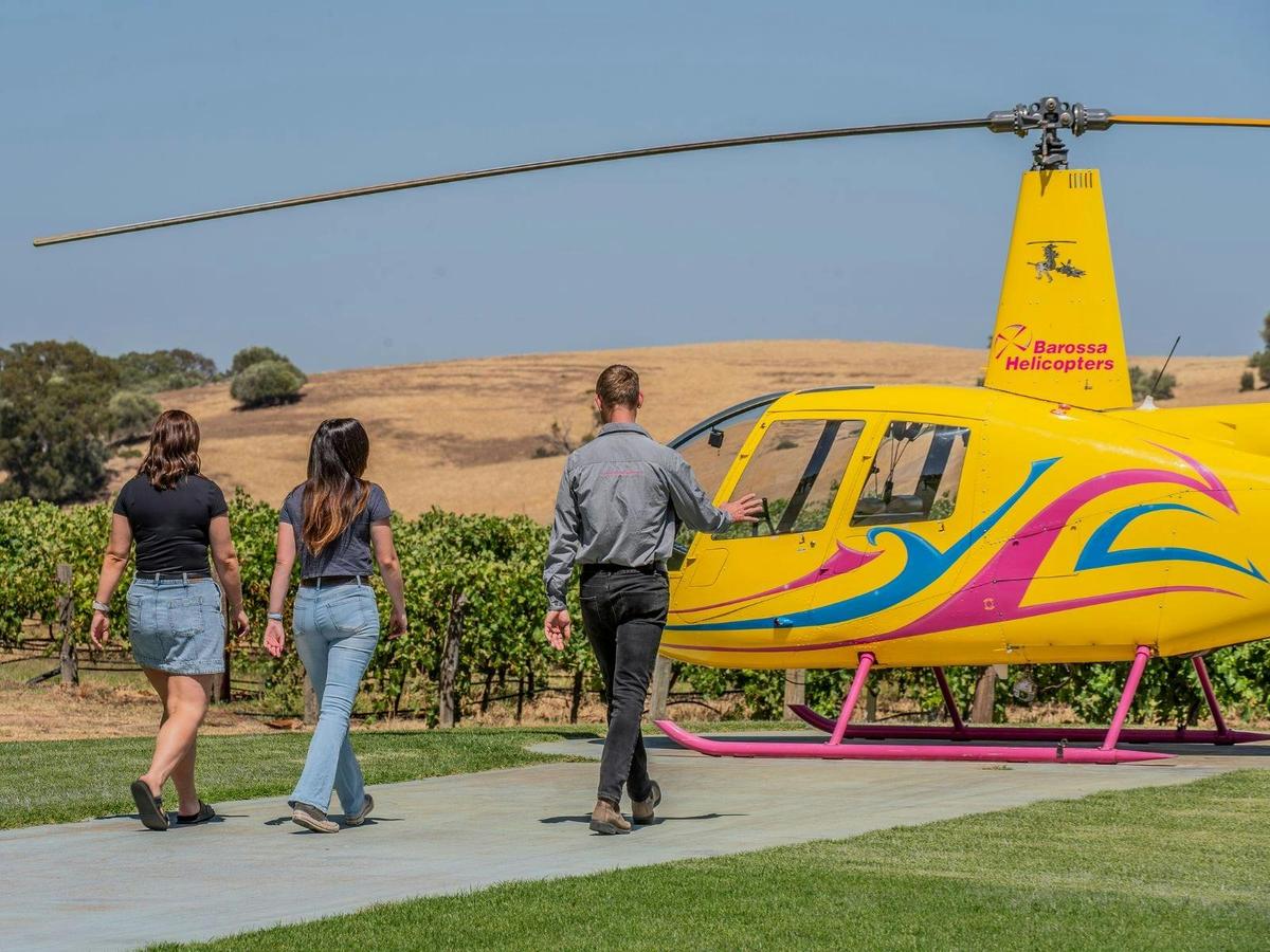 Private Southern Barossa - 10 Minute Scenic Flight