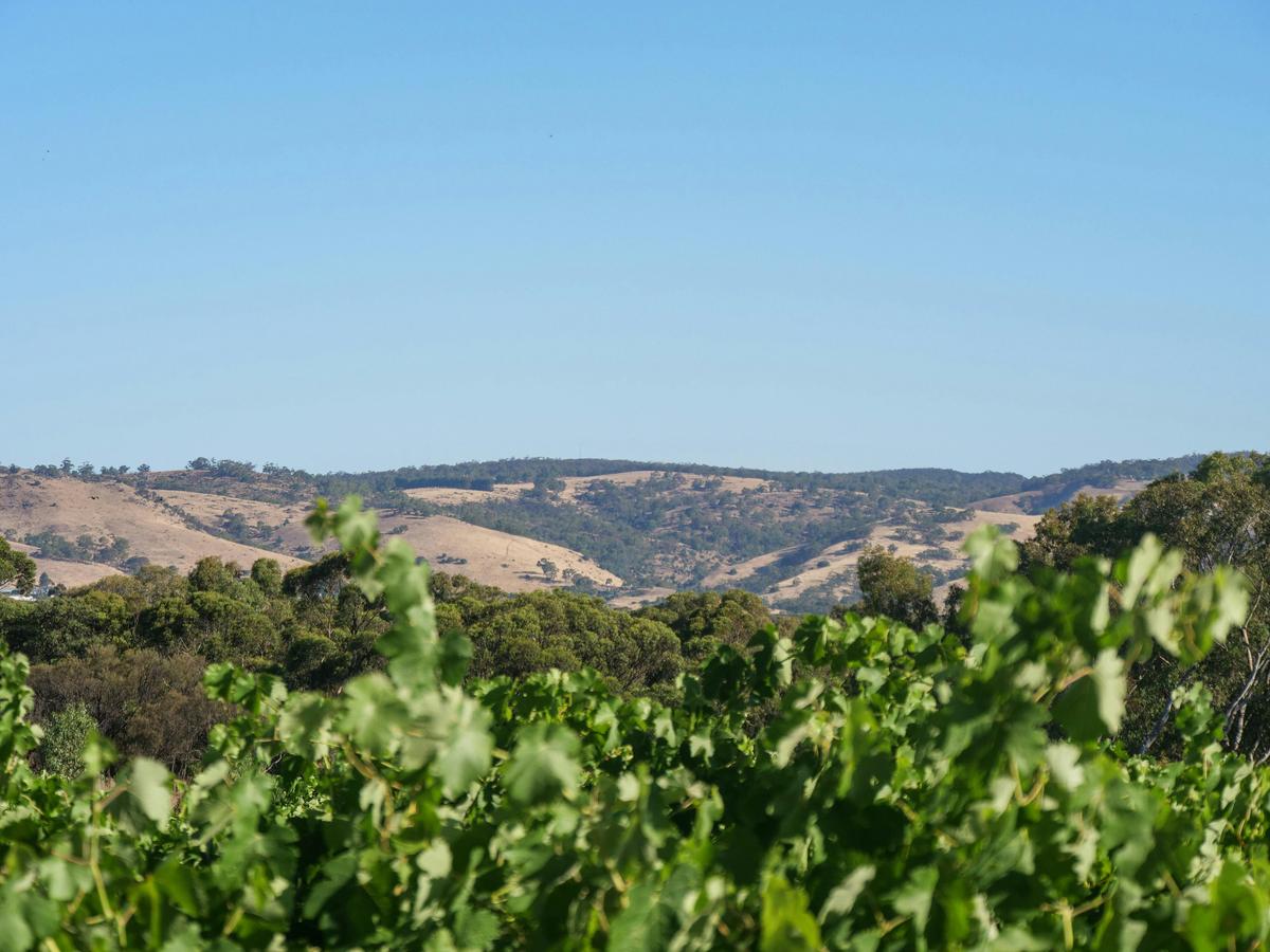 All Inclusive Barossa Bespoke Tour