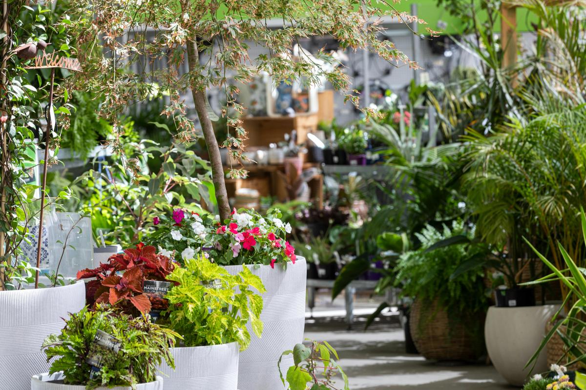 Garden Centre