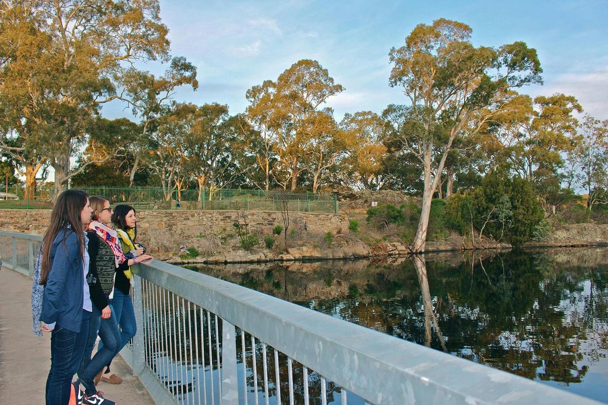 A unique feature of the reservoir is the unusual acoustic phenomenon of the dam wall