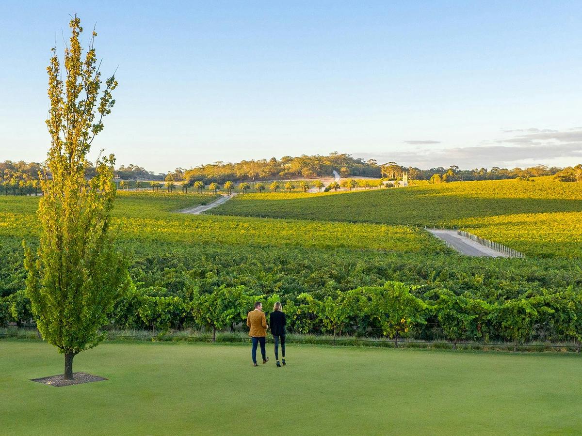 BVE Cellar Door Vineyards