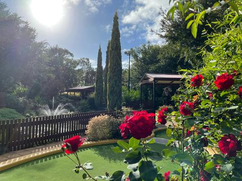 Barossa Bowland and Dinosaur Mini Golf, Maze and Walk