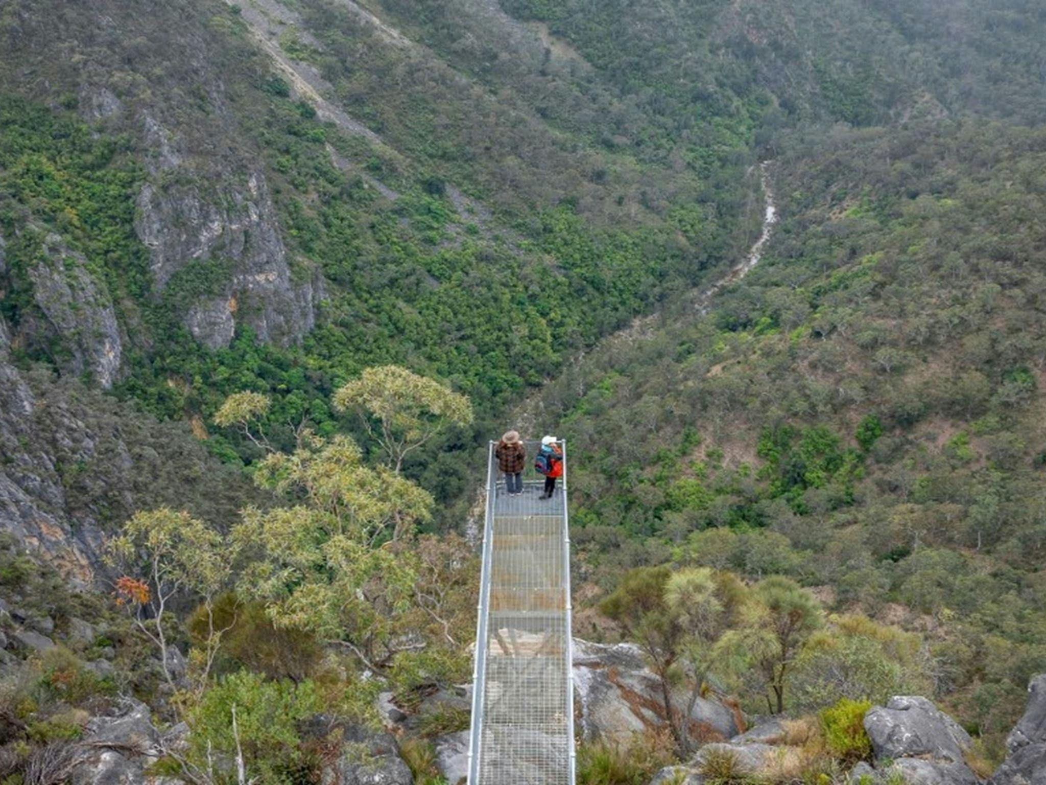 An aerial view of 2 people standing at the end of the lookout platform at The Lookdown lookout in