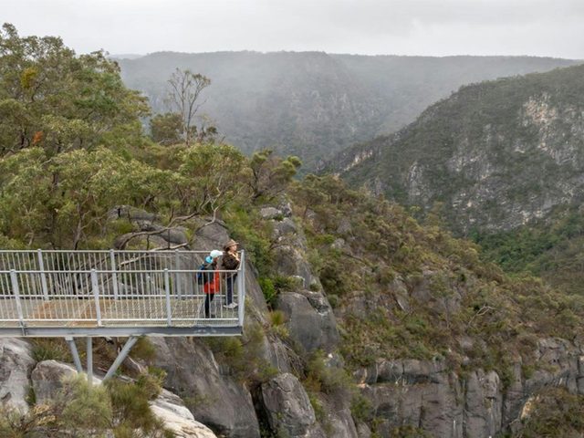 The Lookdown lookout