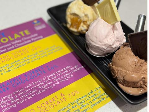 Barossa Valley Chocolate Company - Artisan Gelato and Chocolate Tasting
