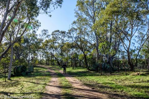 Barossa Goldfield Trail