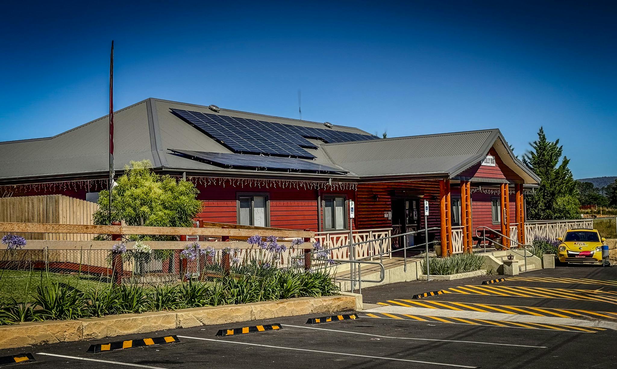 The Lolly Bug Little Hartley