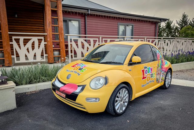 The Lolly Bug
