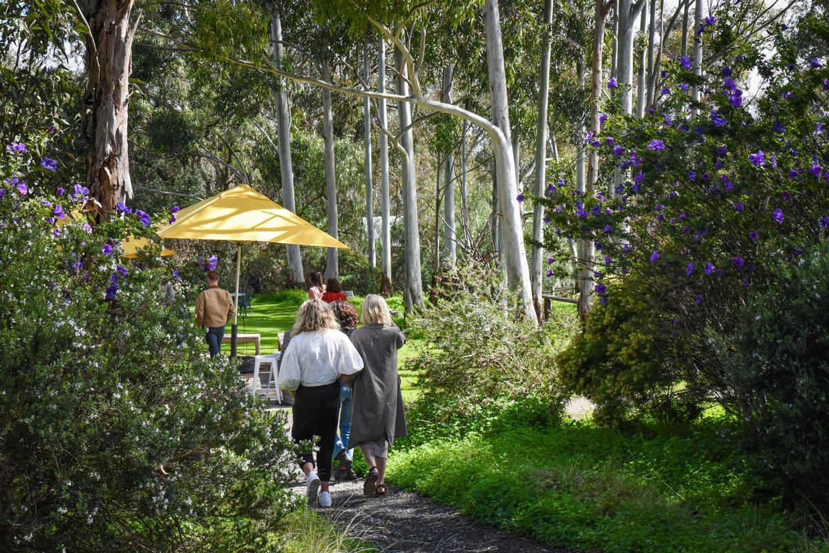 Head into cellar door