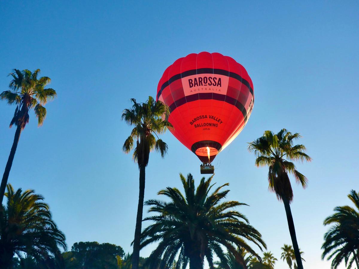 Barossa Balloon Flight