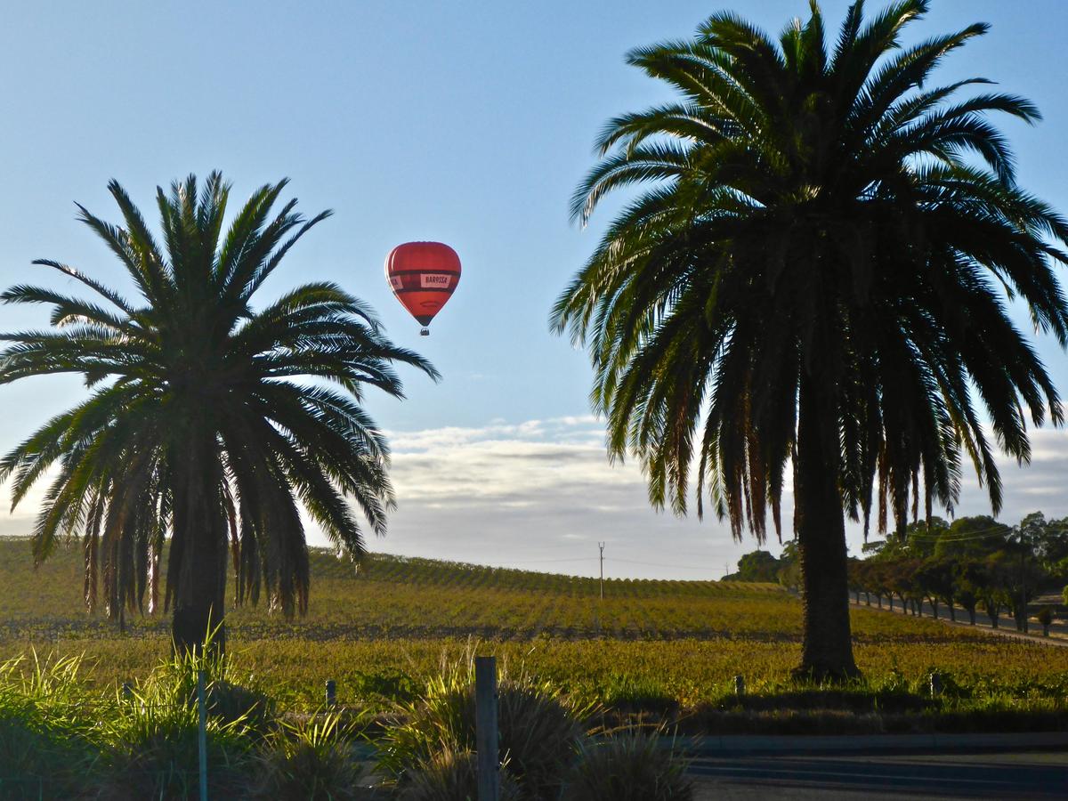 Ballooning over vines in the Barossa