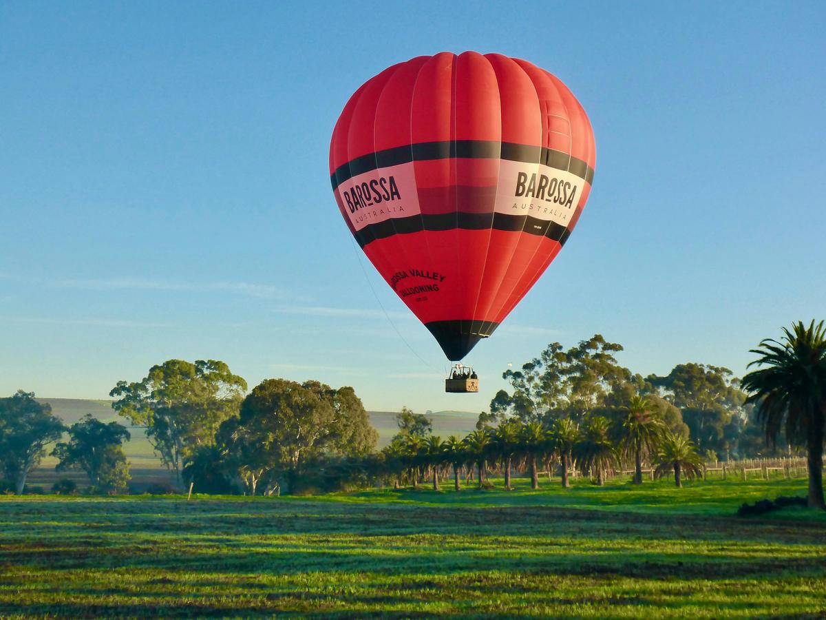Balloon in the Barossa