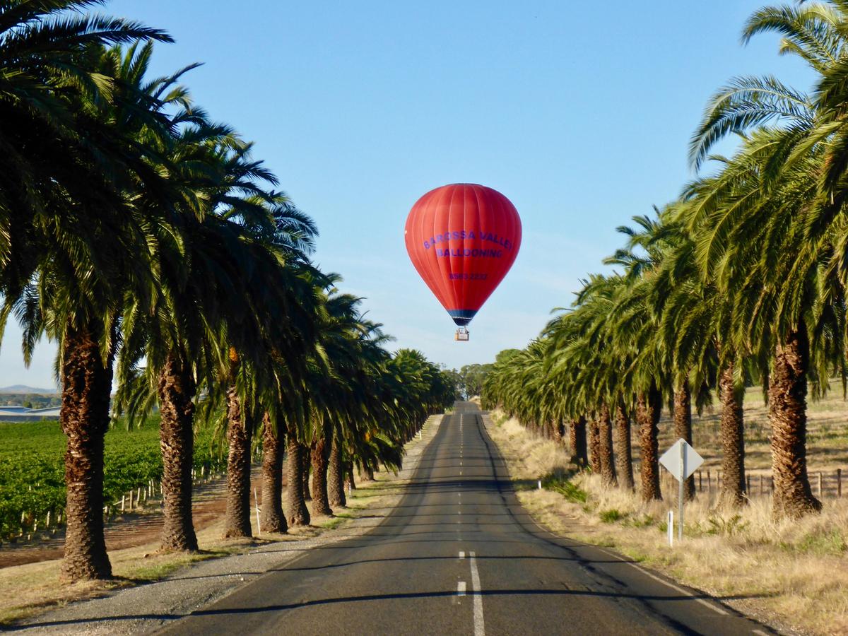 Barossa Balloon Flight