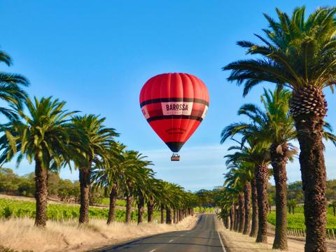 Barossa Valley Ballooning