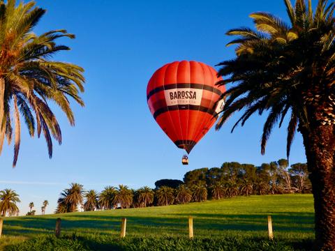 Barossa Balloon Flight