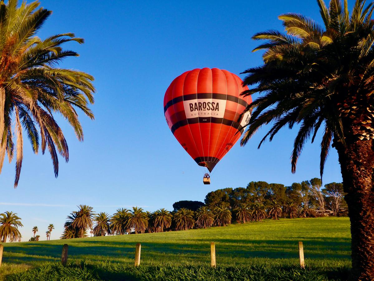 Barossa Balloon Flight