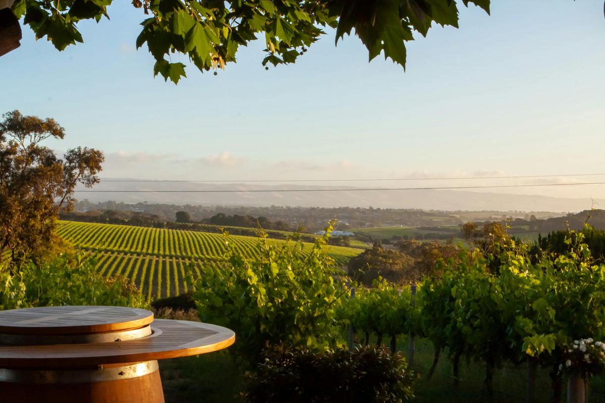 View of McLaren Vale from a Wine Barrel