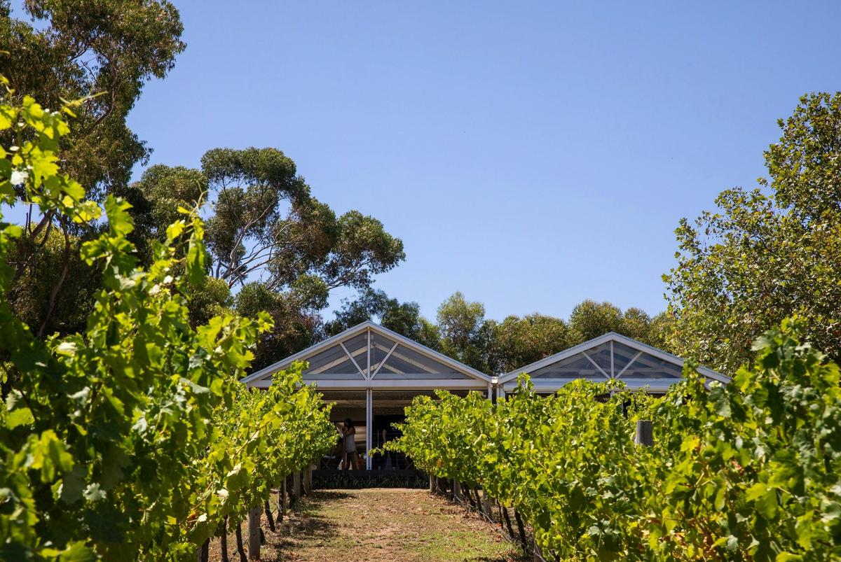 Winery Restaurant Nestled in McLaren Vale Vineyards
