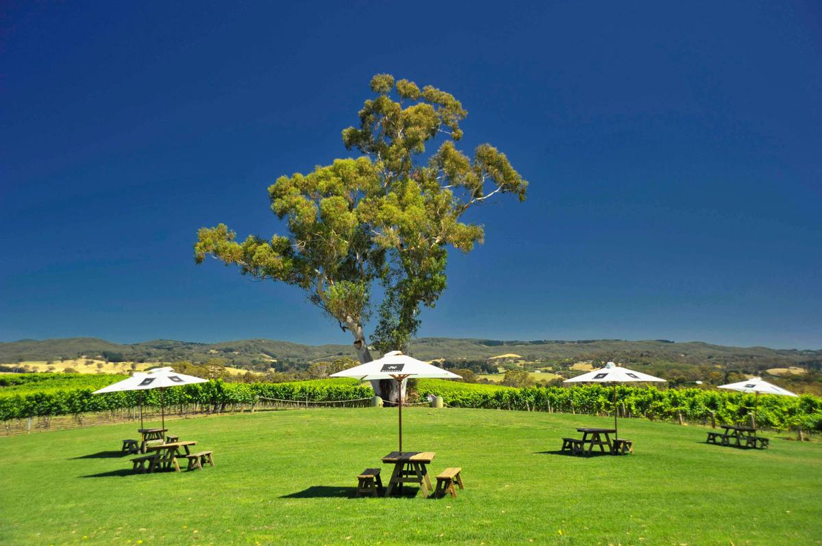 Adelaide Hills and Hahndorf Hideaways - Small Group Tour