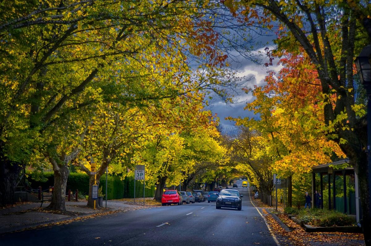 Adelaide Hills and Hahndorf Hideaways - Small Group Tour